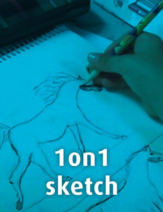1on1-sketch-course-school
